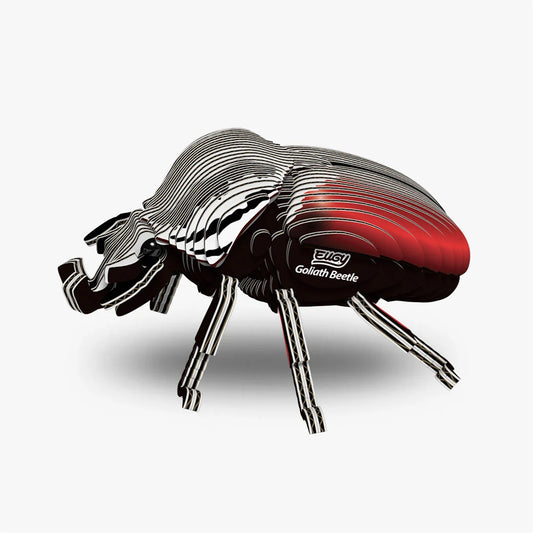 Eugy 3D Cardboard Model Kit - Goliath Beetle