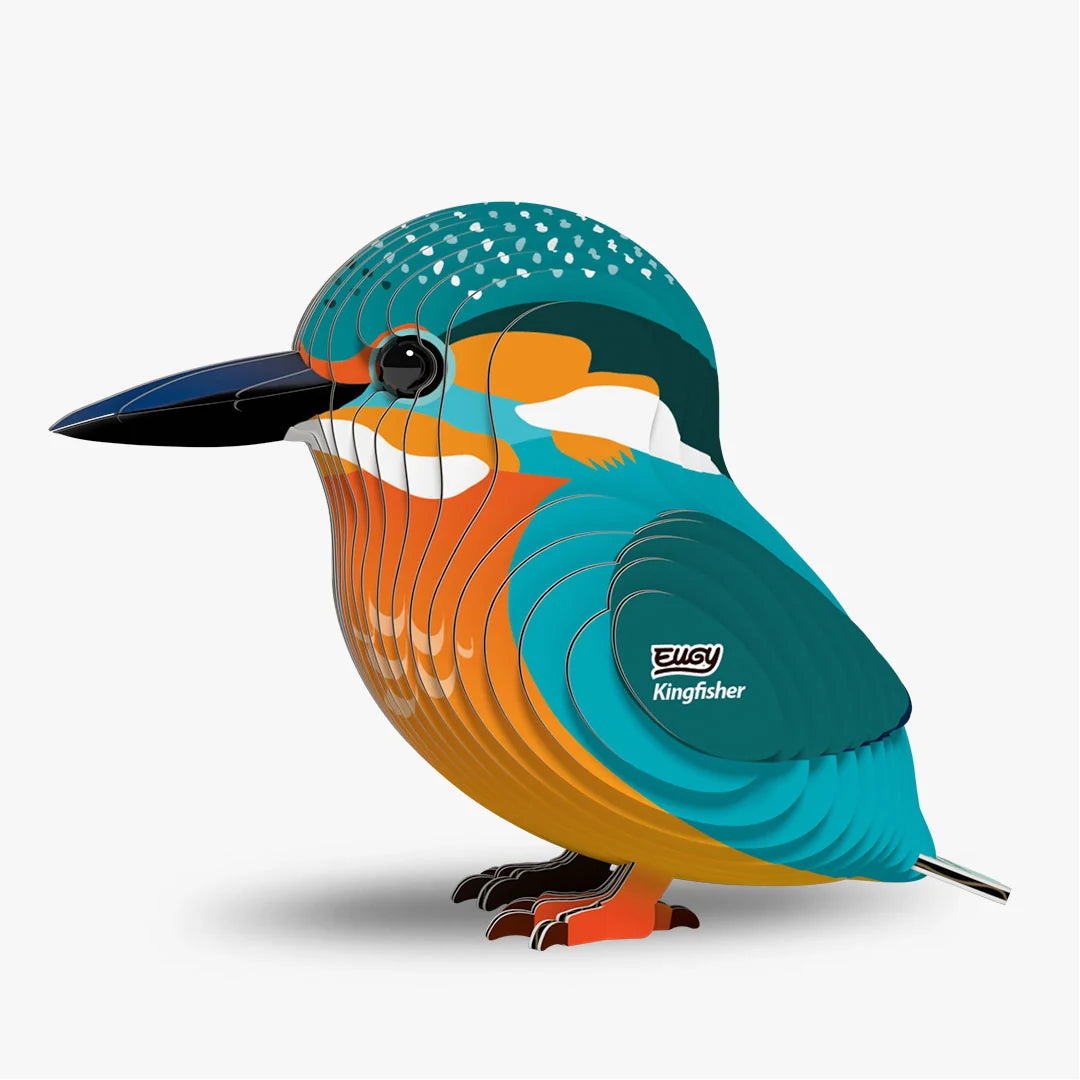 Eugy 3D Cardboard Model Kit - Kingfisher