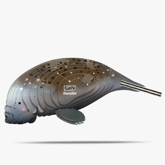 Eugy 3D Cardboard Model Kit - Manatee