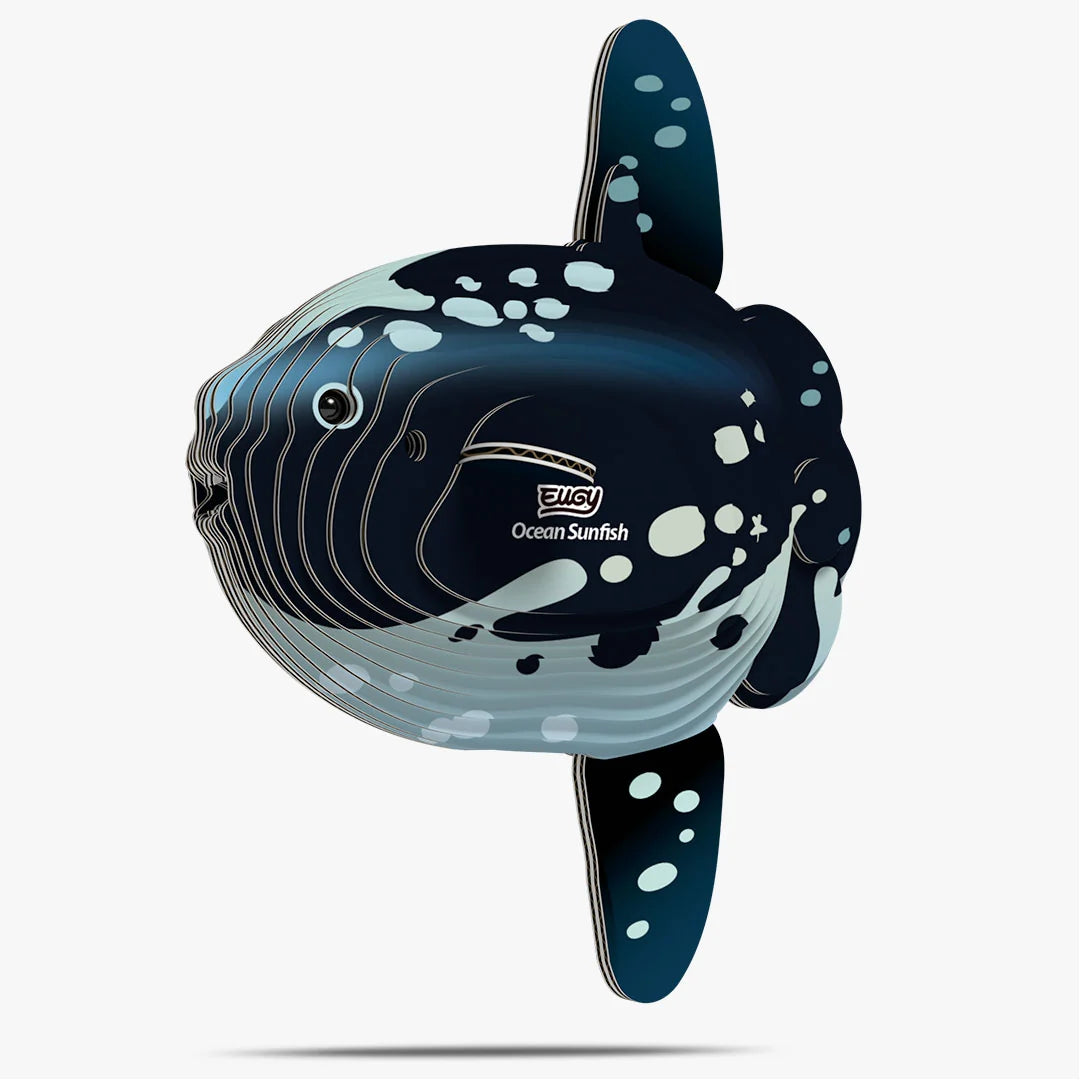 Eugy 3D Cardboard Model Kit - Ocean Sunfish