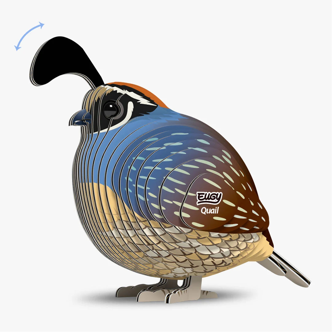 Eugy 3D Cardboard Model Kit - Quail