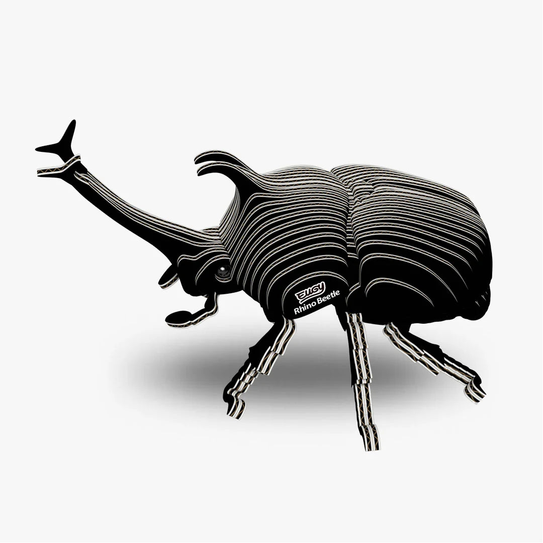 Eugy 3D Cardboard Model Kit - Rhino Beetle