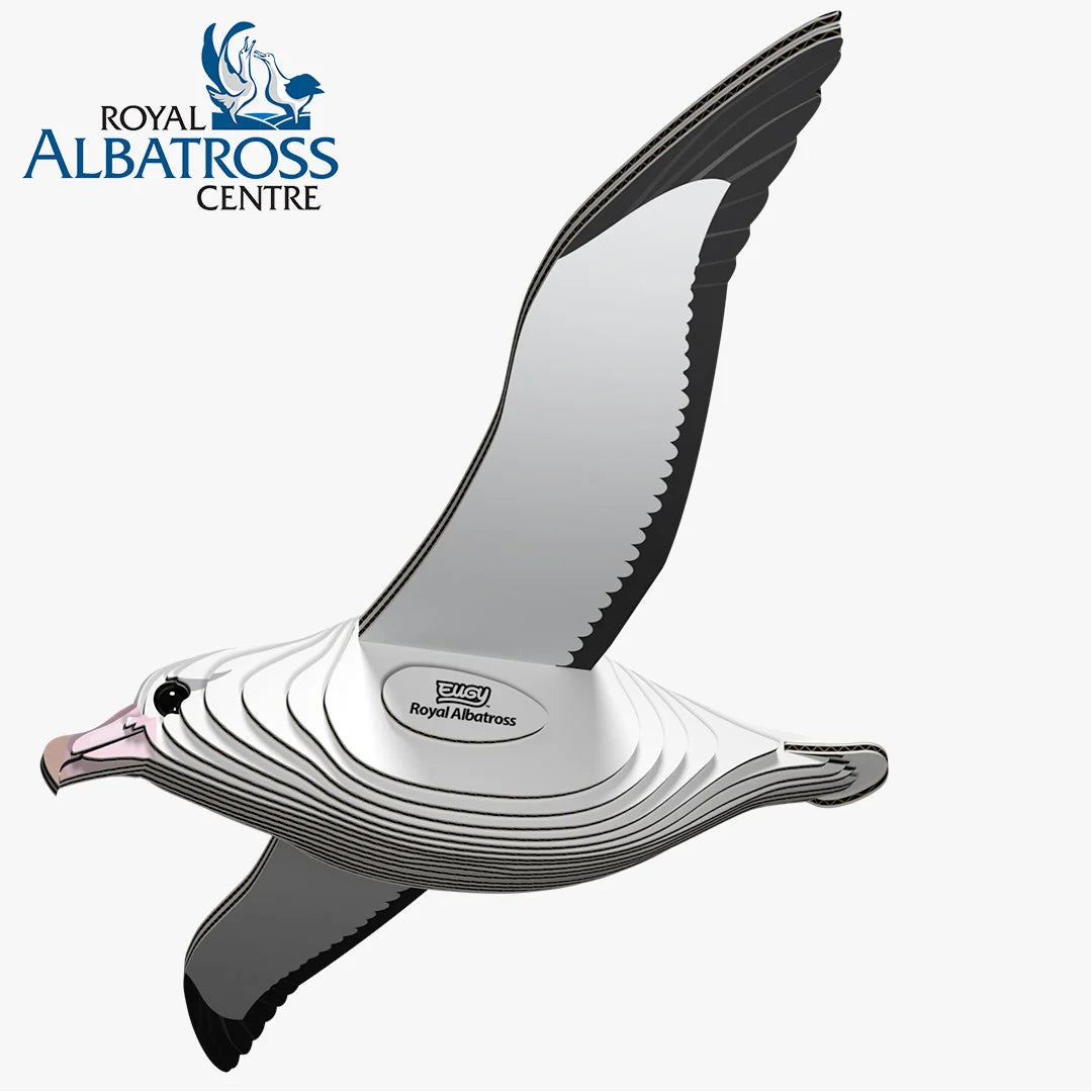 Eugy 3D Cardboard Model Kit - Royal Albatross