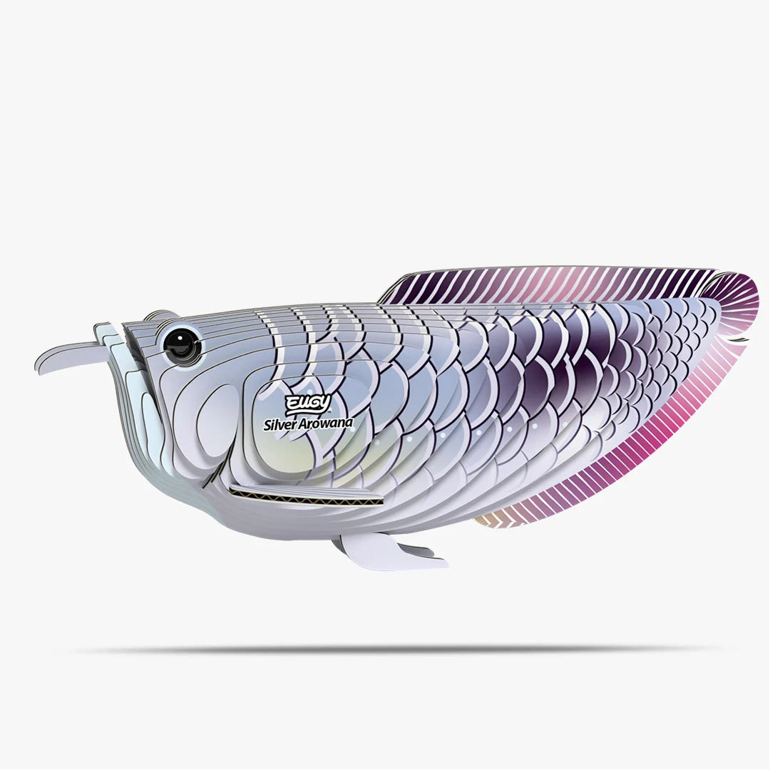 Eugy 3D Cardboard Model Kit - Silver Arowana