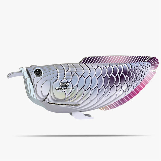 Eugy 3D Cardboard Model Kit - Silver Arowana