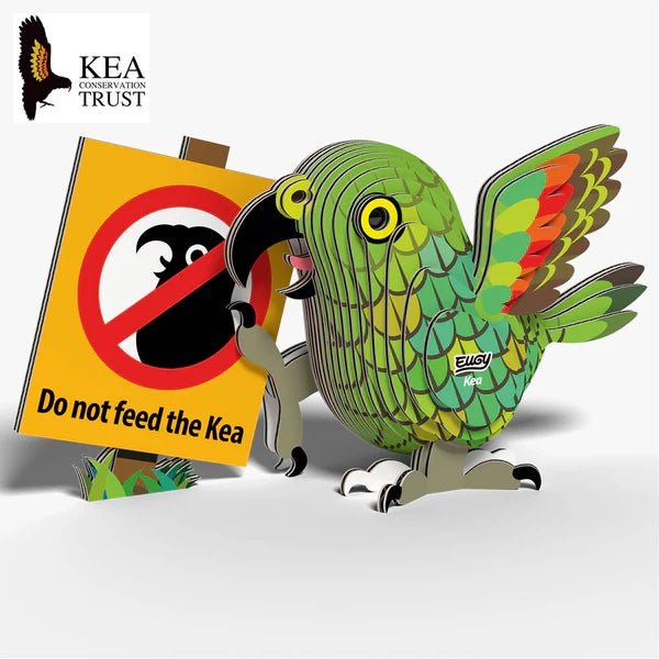 Eugy 3D Cardboard Model Kit - Kea