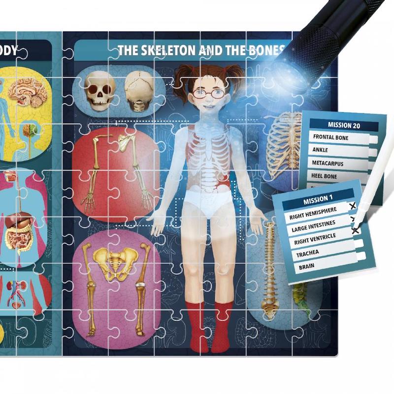 HeadU The Human Body Under X-Ray