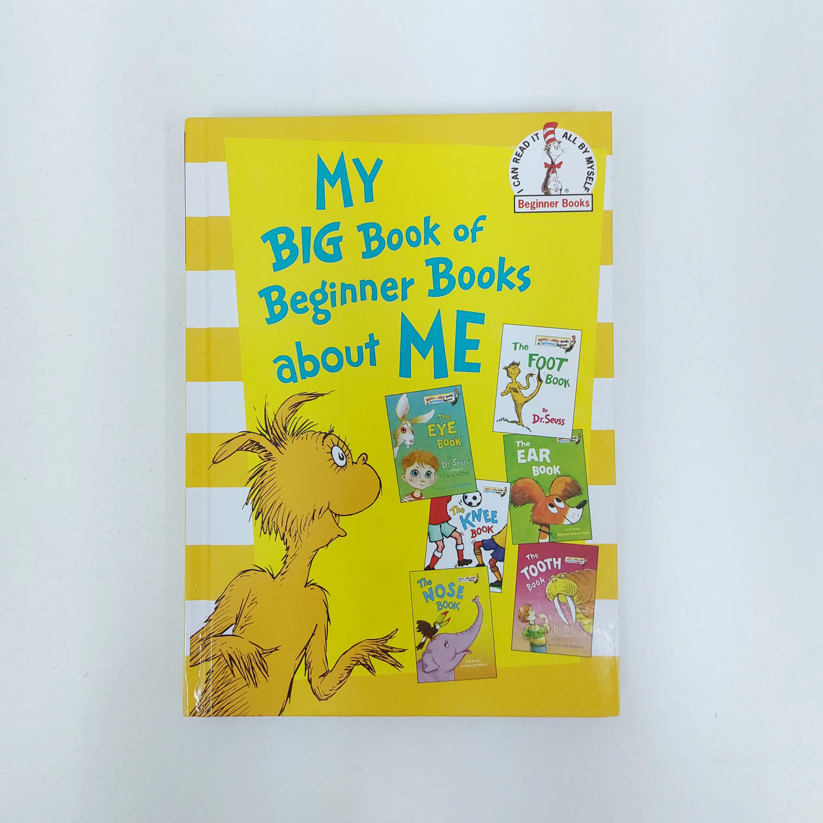 My Big Book of Beginner Books About Me