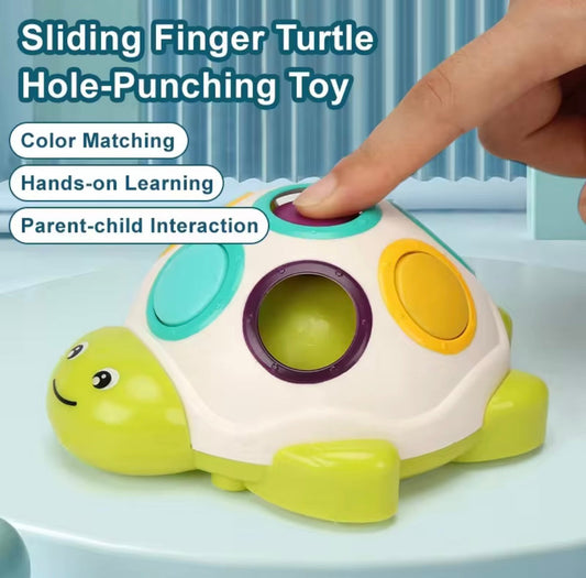 Little Fat Hugs Sliding Turtle