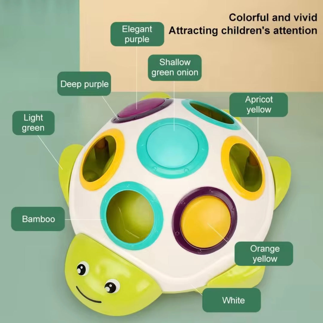 Little Fat Hugs Sliding Turtle