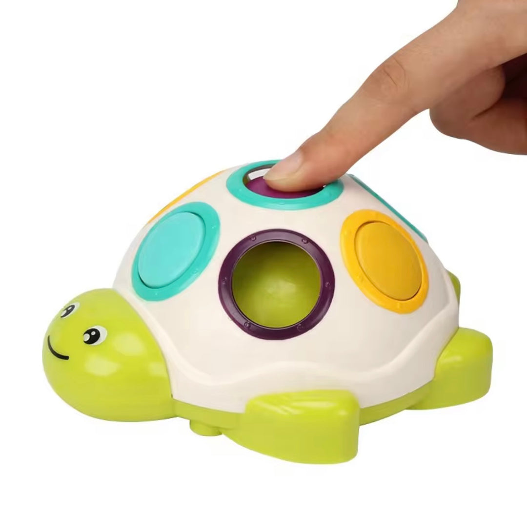 Little Fat Hugs Sliding Turtle