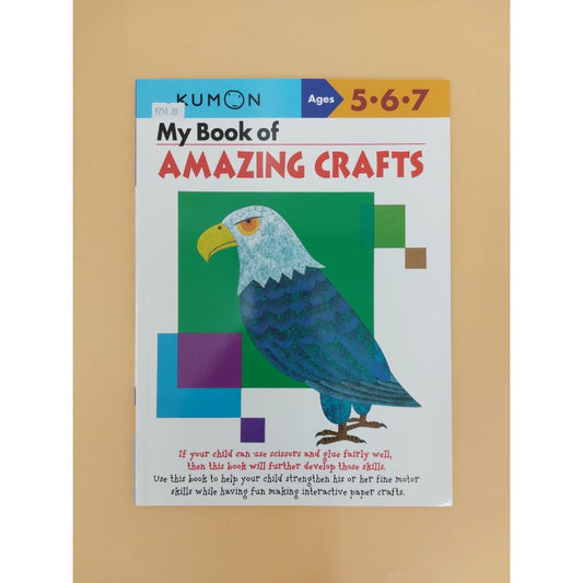 Little Fat Hugs Kumon My Book of Amazing Crafts