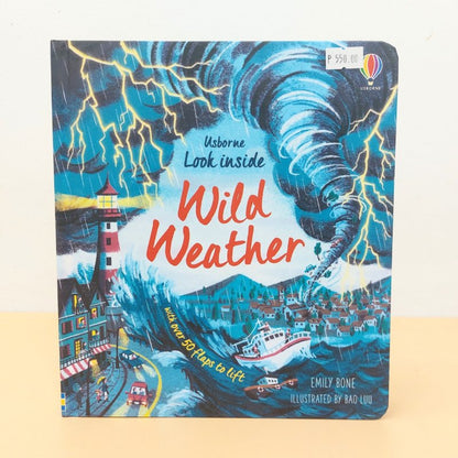 Little Fat Hugs Usborne Look Inside Wild Weather