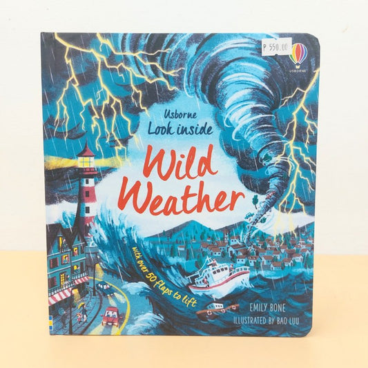 Little Fat Hugs Usborne Look Inside Wild Weather