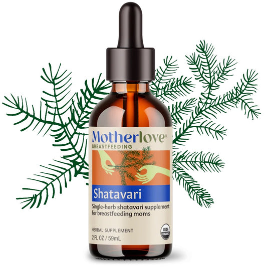 Motherlove Shatavari Tincture