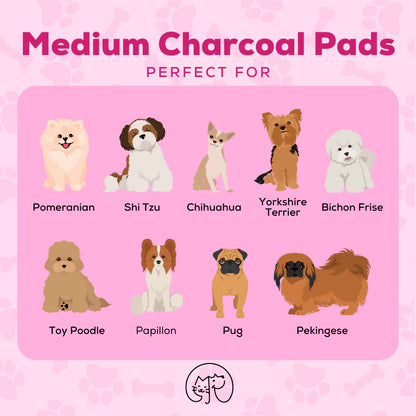 Pupaholic PH Medium Charcoal Pads