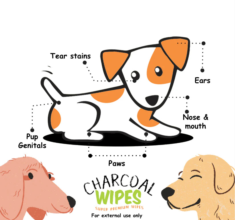 Pupaholic PH Charcoal Wipes