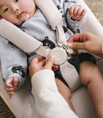 Stokke Yoga Bouncer and Swing