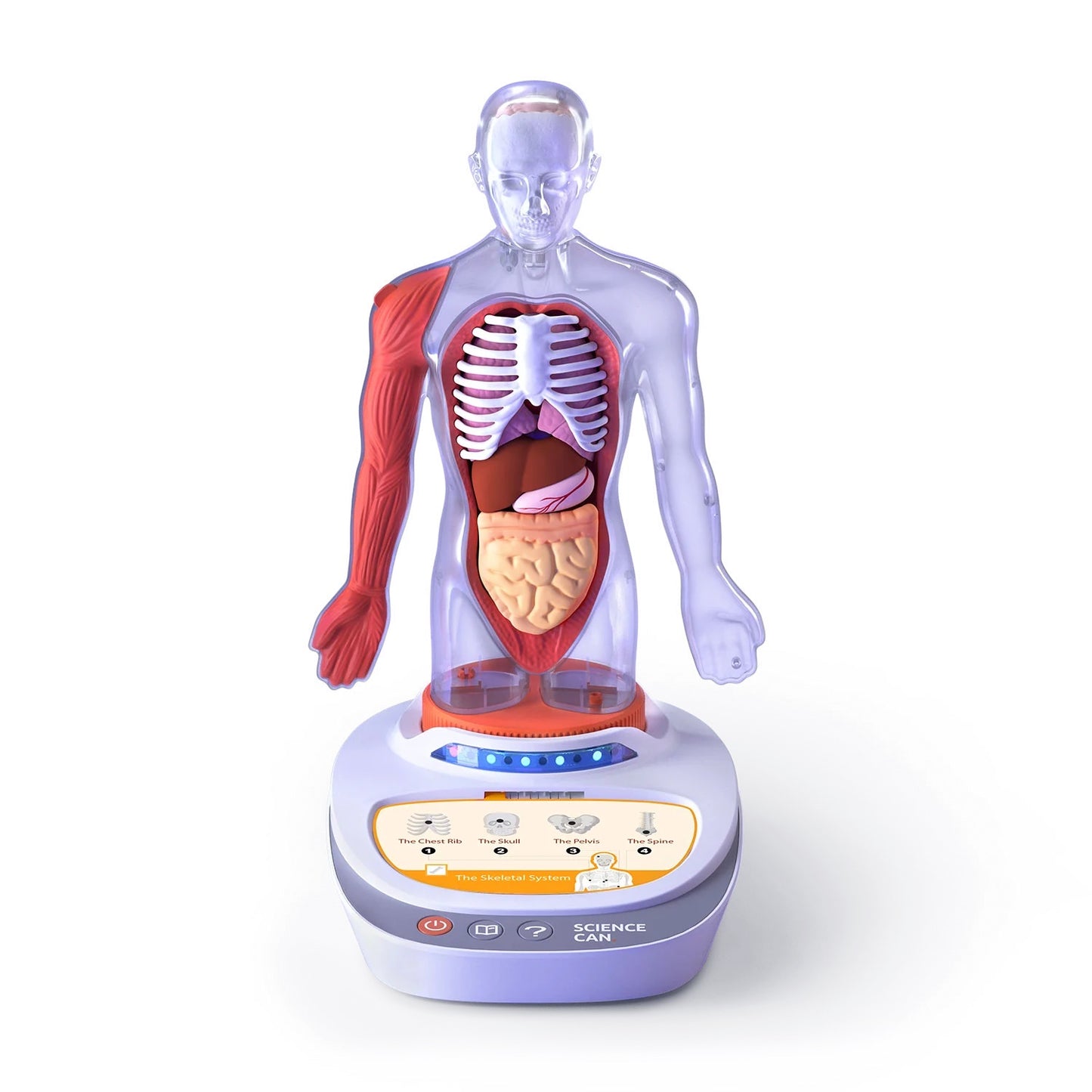 Topbright My Body Voice Pedia