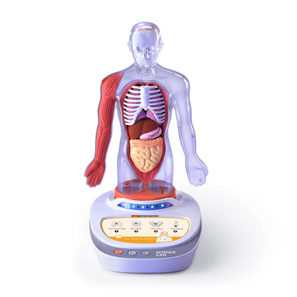 Topbright My Body Voice Pedia