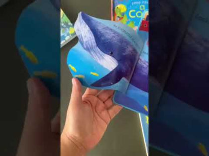 Little Fat Hugs Usborne Peep Inside the Seashore