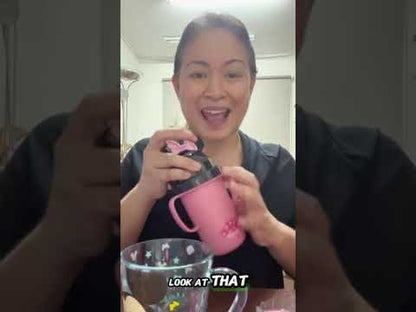 Dish Me Ph Disney 3D Stainless Sippy Cup