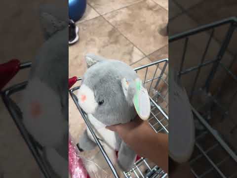 B. Classic Plush Cat