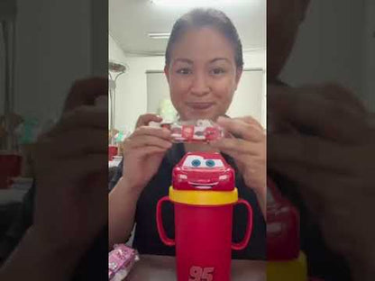 Dish Me Ph Disney 3D Stainless Sippy Cup