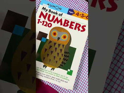 Little Fat Hugs Kumon My Book of Number Games 1-150