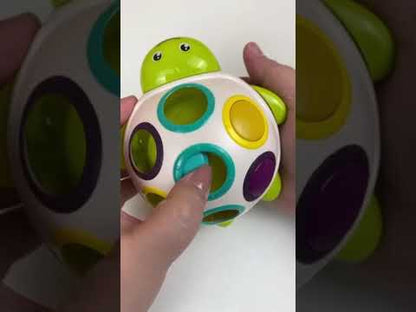 Little Fat Hugs Sliding Turtle