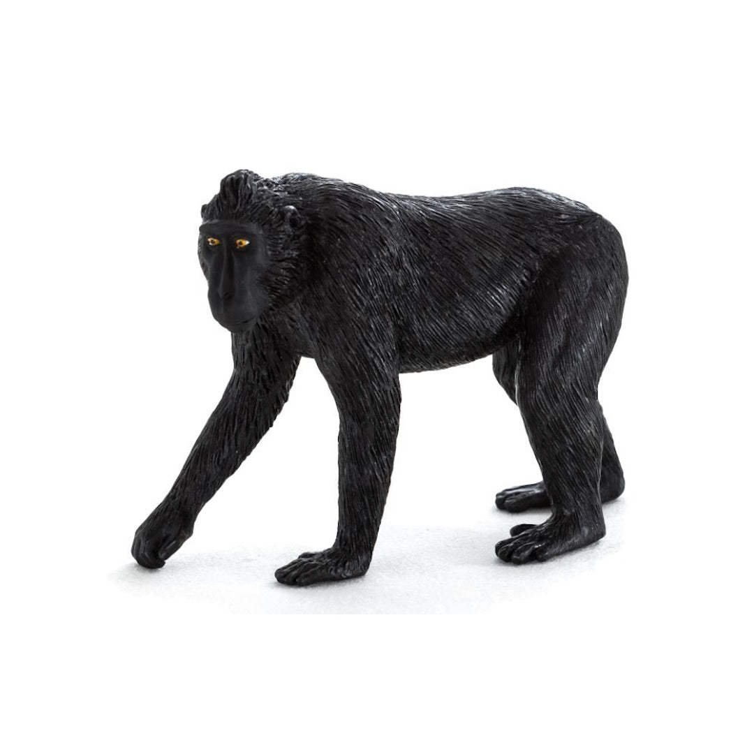 Animal Planet Toys - Black Crested Macaque (Small Box)