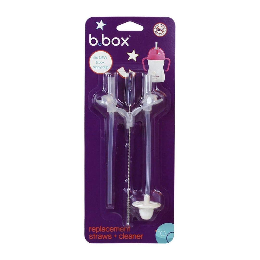 B.Box Replacement Straw + Cleaner