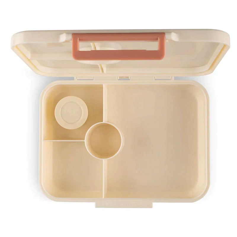 Citron Tritan Lunch Box