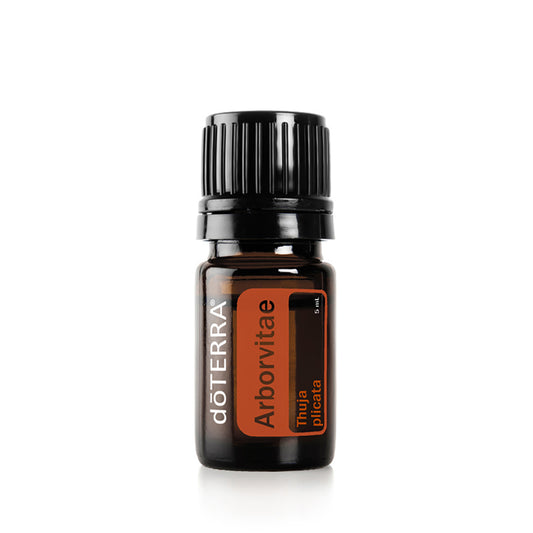 Doterra Arborvitae (5ml)