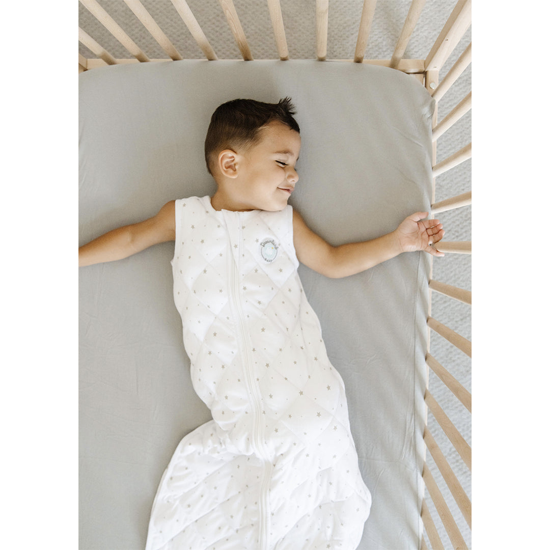 Dreamland Baby Weighted Sleep Swaddle and Sack - Sage Green
