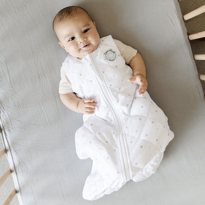 Dreamland Baby Weighted Sleep Swaddle and Sack - Sage Green