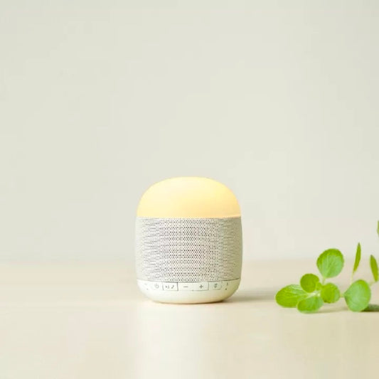 Emoi Portable Lamp Speaker