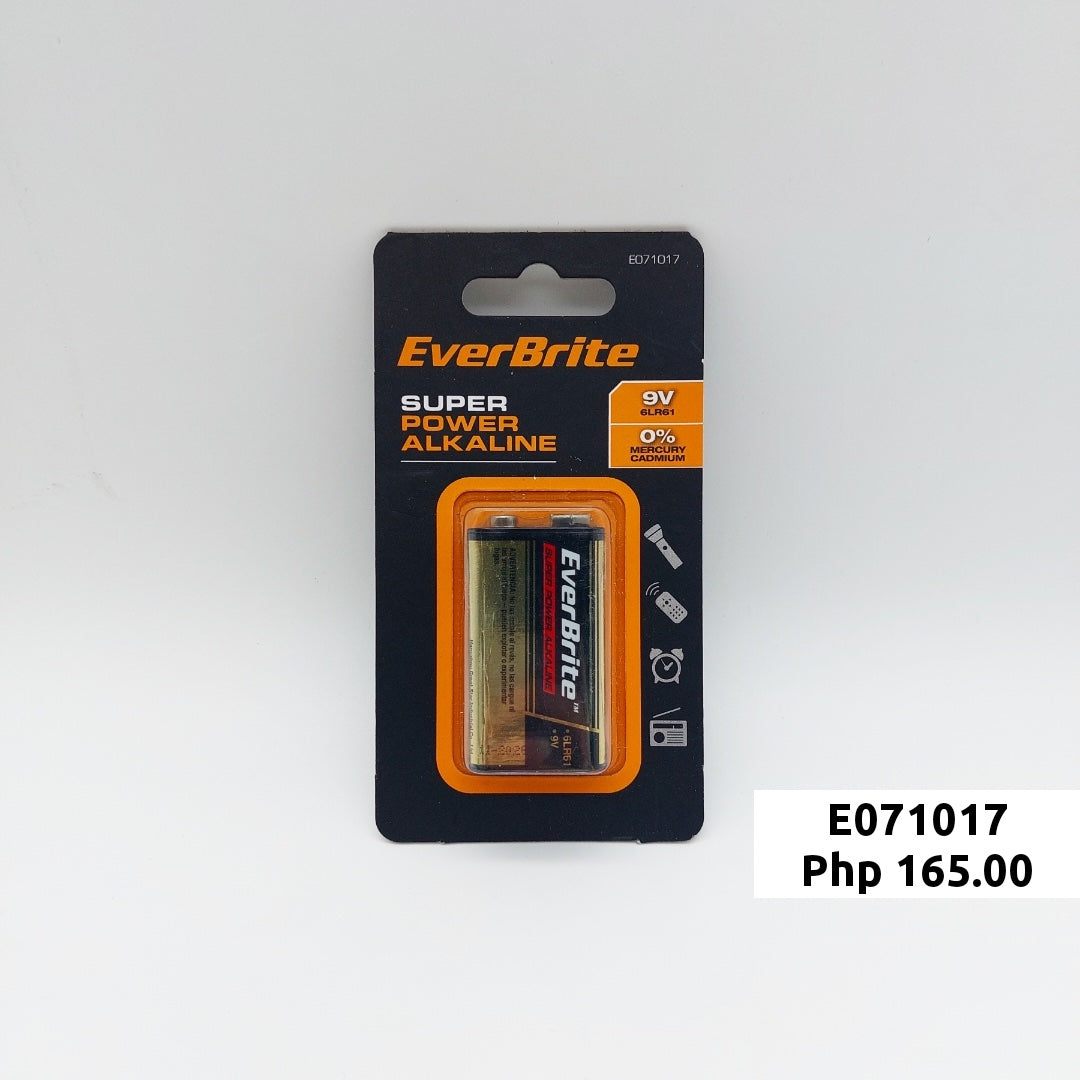 EverBrite Super Power Long Lasting Alkaline Batteries