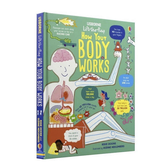 Little Fat Hugs Usborne Lift-the-Flap How Your Body Works