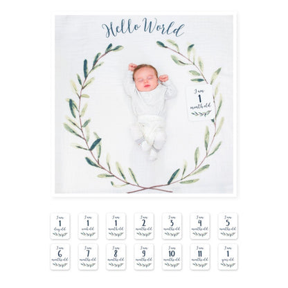 Lulujo Baby Milestone Blanket and Card Set