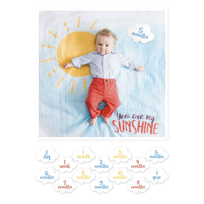 Lulujo Baby Milestone Blanket and Card Set