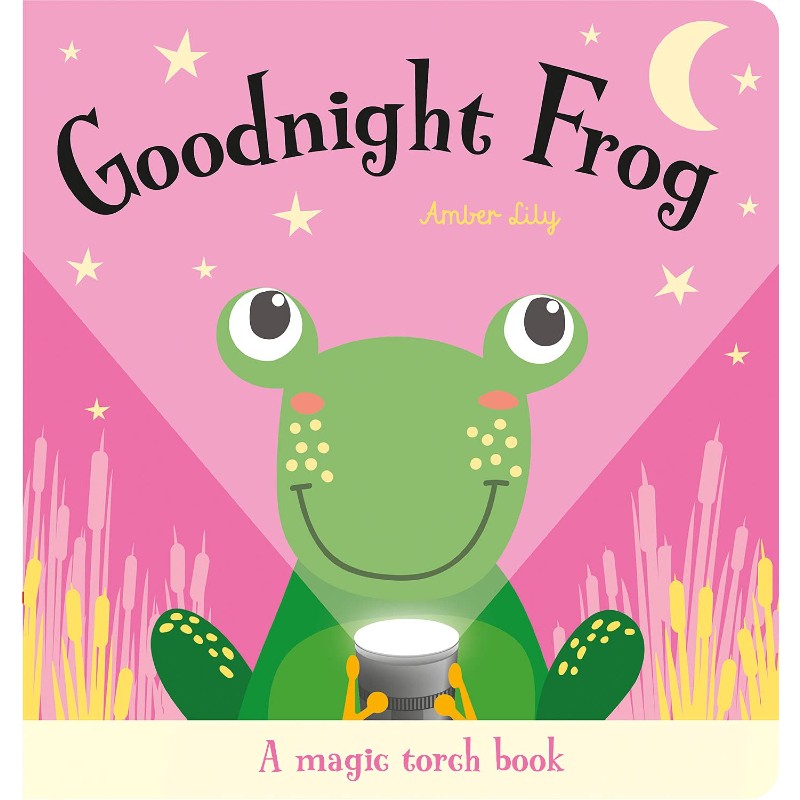 Magic Torch Books: Goodnight Frog