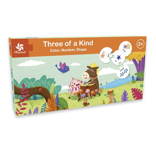 Pinwheel Toys Color, Number, Shape Three of a Kind Puzzle