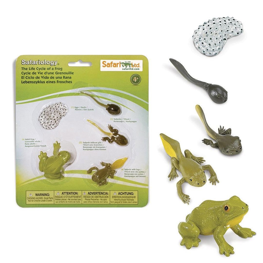 Toobs and Safariology Toys: Life Cycle of a Frog