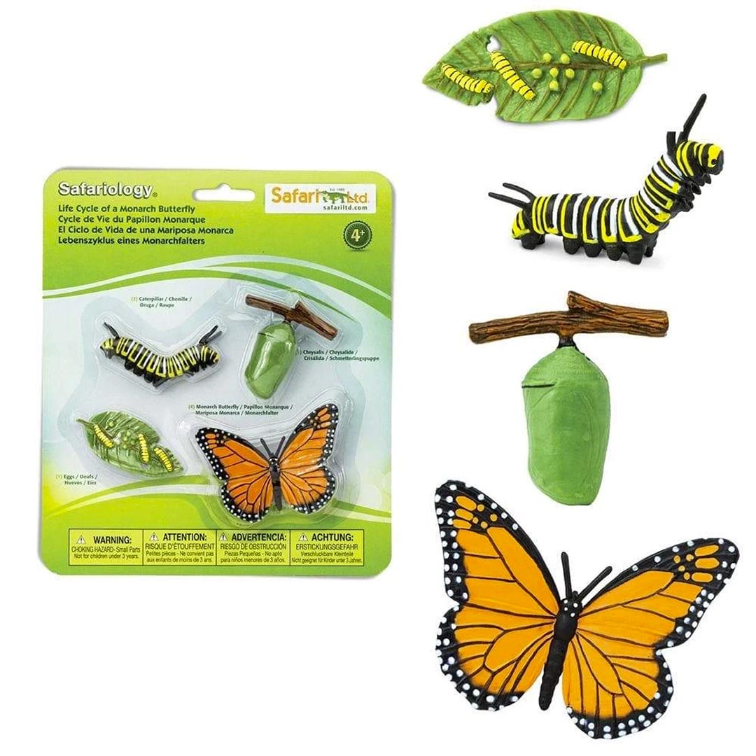 Toobs and Safariology Toys: Life Cycle of a Monarch Butterfly