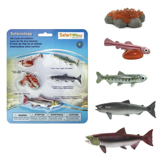 Toobs and Safariology Toys: Life Cycle of a Salmon