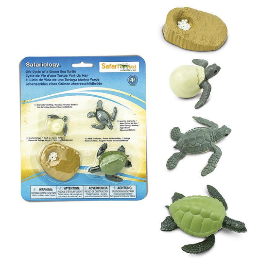 Toobs and Safariology Toys: Life Cycle of a Green Sea Turtle