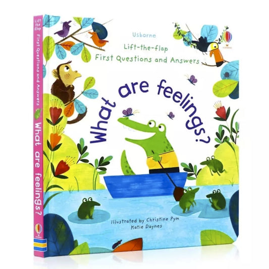 Little Fat Hugs Usborne Lift-the-Flap What are Feelings?