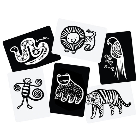 Wee Gallery Art Cards - Jungle Collection
